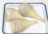 旬を味わおう♪たけのこの茹で方作り方9写真