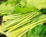 かぶの葉の塩昆布和え作り方1写真