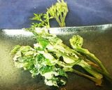 山菜 ♪カラットサクサク ウドの天ぷら♪作り方4写真
