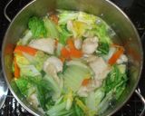 鶏むね肉白菜の副菜♪簡単やわらかい作り方19写真