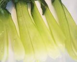 ちりめんじゃことチンゲン菜のおひたし作り方2写真