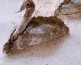 黒胡麻でブラックスワン蒸し餃子作り方5写真