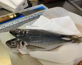 アジの三枚おろし、皮引きまで作り方1写真