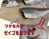 アジの三枚おろし、皮引きまで作り方4写真
