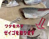 アジの三枚おろし、皮引きまで作り方4写真