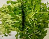 栄養満点！野菜たっぷり冷しゃぶサラダ作り方6写真