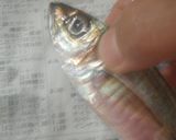 夏にピッタリ♪小鯵のカレーサラダマリネ♪作り方1写真
