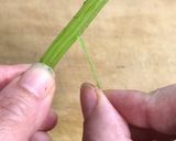 春の味!ふきの炊き込みご飯作り方3写真