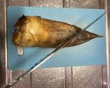 筍の下処理（1日かかります）作り方1写真