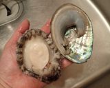 アワビの刺身作り方4写真