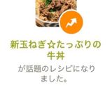 簡単牛丼!作り方11写真