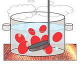 クセになる『湯むき』作り方1写真