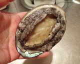 電子レンジでアワビの酒蒸し作り方1写真