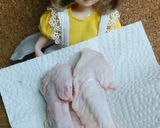 リカちゃん♡賄い？eco水炊き(◉Θ◉)作り方1写真