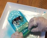 ハッピー生春巻き・デザート鯉のぼり作り方16写真