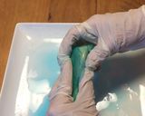 ハッピー生春巻き・デザート鯉のぼり作り方21写真