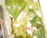無糖桜餅（血管ダイエット1518）作り方2写真