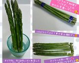 うちの☆アスパラ極める❣下処理＆保存方法作り方72写真