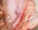 あんこうの胃袋の唐揚げ作り方1写真