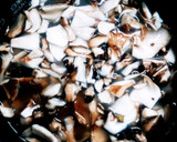 白だしで簡単！舞茸とコーンの炊き込みご飯作り方4写真