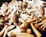 タコときのこのアヒージョ作り方4写真