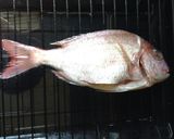土鍋で鯛めし作り方3写真