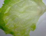 レタスと豚のしゃぶひぃいゆ作り方24写真