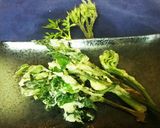 簡単‼ウドの皮とにんじんのきんぴら♪作り方6写真