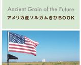 グルテンフリー◎ソルガムの美腸スムージー作り方4写真