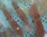 ヒイカのジェノベーゼパスタ作り方1写真