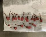 桜と抹茶のパウンドケーキ作り方9写真