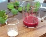 綺麗になれちゃう『パンナコッタ』作り方12写真