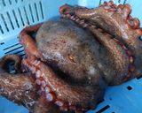 タコのジェノベーゼパスタ作り方1写真