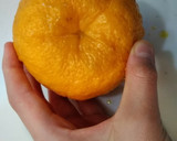 超簡単♪柑橘類の皮を楽に剥く方法作り方6写真