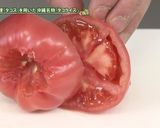 オロフレトマトのタコライス作り方1写真