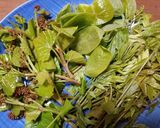 珍しい木の芽3種の天ぷら・意外や美味なり作り方4写真