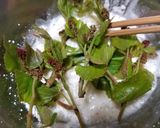 珍しい木の芽3種の天ぷら・意外や美味なり作り方5写真