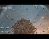 クミン香る♪玄米メキシカンライス作り方3写真