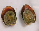 簡単中華！ピータン豆腐作り方9写真
