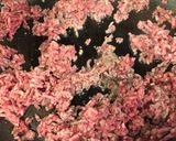 チリコンカン作り方4写真