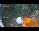 ほうれん草のカレー【サグカレー】作り方6写真