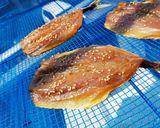 【簡単】うちで作ろう！ 干物　作り方6写真
