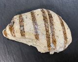 子供大好きチキンのクリームパスタ作り方2写真