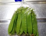 絹さやえんどうのボイル作り方1写真