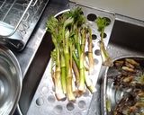 無限山ウド　醤油漬け作り方1写真