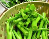 空芯菜とズッキーニのナンプラー炒め作り方5写真