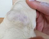 手ごねで作る翌日もしっとり白い食卓ロール作り方3写真