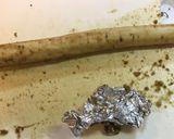 ひら天と新牛蒡と水菜の煮物作り方1写真