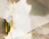 定番の小松菜と薄揚げの炊いたん作り方10写真