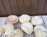 手ごねで作る翌日もしっとり白い食卓ロール作り方11写真